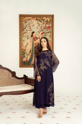 2 Piece Chiffon Embroidered Suit (FS0055)